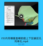 t10内耳横垂直嵴前庭上下区蜗区孔列单孔.mp4