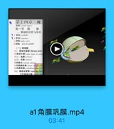 a1角膜巩膜.mp4
