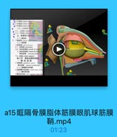 a15眶隔骨膜脂体筋膜眼肌球筋膜鞘.mp4