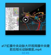 a17虹膜中央动脉大环视网膜中央睫前后短长动脉眼肌.mp4