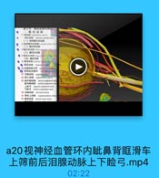 a20视神经血管环内眦鼻背眶滑车上筛前后泪腺动脉上下睑弓.mp4