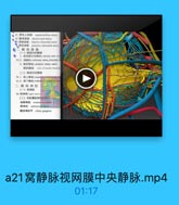 a21窝静脉视网膜中央静脉.mp4