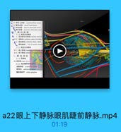 a22眼上下静脉眼肌睫前静脉.mp4