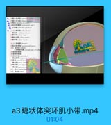 a3睫状体突环肌小带.mp4