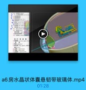 a6房水晶状体囊悬韧带玻璃体.mp4