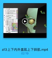 a13上下内外直肌上下斜肌.mp4