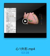 世三,心血管的常见变异和业
第二节 心
一。心的位置,外形和低部

21 M 00 (diapbragmtie wurfare )

18 21

22 Fil efer border of heart

19 22

232i8 left border of heaet
34 4it8 right border of heart

20 23
24

27
25
29

(=) 608

30

251.图有心房
ar IE Eustachian F it
32. N9 N918 1 ( sins venarum can

心1外形.mp4

03:28