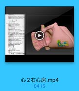 二心!
(一)古心国

第1.国有心房
3r I Entachian F (

44個週窝(kea malis)
45 10 DHI 3C 10 border of avel foont
47 T-H8 3E rami marginalis inferiar
43 Koch 三角
sa Todaro M
(二) 五心童

1.流入道 父存書有心腔或集

心2右心房.mp4
04:15