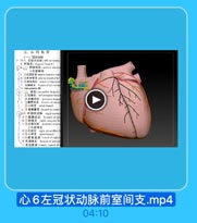 丘,心的血管
(一)冠状动除
9 1i1.左冠状动味[lett coronary
a 对角支(diagenal branch}
Dbir 前室间支anterior inlerwr
又称前降支
c 1左室丽克 anterior branch o rig
d 2右富前支 inle-ir barzh uf w1
L (D室间運支 Srech ef inteye.tlr
左国征克 branch of let: corons
a Vieussens E5
<2} 尊支(eircumlles hranrh)
1左豫克 left marginal hrec
2:左室后支 islerioor branc
× 3实房结支 tranch of sinuat
4心房文 atrial hranch
mG左房旋支 cicumf ax bram
2月2.右冠状动時 right cocona
a1)爽房结支 branch of sin
b 2右绿支 right manginal Inr
€ $后室问支 paslcrior irlerve
又称后降支
d3右提克 right circumfllex b
e 5% atrial branch
「6房室结支 Feanch af right ce
9 右圆链支 branch of arverial
h 右空前支 aMarfo bran:h of f

心6左冠状动脉前室间支.mp4

04:10
