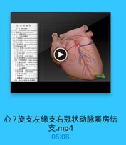 五.心的血管
(一)冠状动脉
D 31. 左层状动脉(laft.coronary
a a 对角支(degnal Branrh)
香 北称前降支
0 C 1在室背食 anterior bonch of nghe
od 2右室前文 asterio Branch ot hent
·8工室间國克 franck of intenom
■f 左國管支 branchof lef coroen
Os Vieussens I
●为 (2) 增支(eimaaniles brineb )
下 1左峰支 left marginal branch
1 生左室后支 posterior hranct
1 3興房体支 branch of siauie
1 4心開支 atriall branch
# 3左房旋克 cipcumles branch
12.右冠状动脉 righn coeona
a 1离房结支 hranch of sim
b 右峰克 right marginal bra
c 1后童网支 postcrinr interec
d4右地支 right circunflles
3心房車 atrial beanc
f石房室结支 hrasch uf tight cn
4 右固雅克 hranch of arterial
右室前克 anterior btanch of ri
453.延状动除的分布獎型

心7旋支左缘支右冠状动脉窦房结
支.mp4

05:06