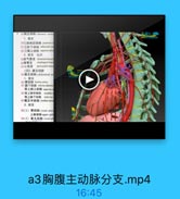 a3胸腹主动脉分支.mp4