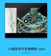 v3胸部奇半奇椎静脉.mp4