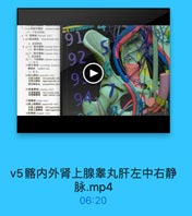 v4大小隐胫前后股内外深静脉.mp4