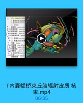 (四)大脑半球的髓品
1.联络纤维(associa
2. 连合纤维(commis
(1)駢紙体
餅脏体 corpus call
S-82 餅胝体嘴

rostrum
·83 開胝体障
genu of o
● 84 餅旺体干
trunk of
·15勝服体压部 spleni
O (2)前连合(anterior 0
●(3)弯産(fornis)和為
穹隆 fomix
CoBe 穹庫脚 crus of fom
◎ 弯隆体 body of for
●07弯座连合 commiss
Lol8 弯窿柱 column of
● 3.投射纤维(projecti
● 89内囊(intemal eapsule)
[内囊]前胺 anterior

f内囊额桥束丘脑辐射皮质核
束.mp4
06:35