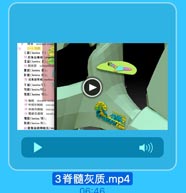 终池 lerm nal ciston
(一)灰正
I层(lamina
73 后角边缘核(poalemn
I层(laming I):
74 胶状质 substantia g
I层(lamina I):
IV层(Iamina IV):
75 后角国有核(marleis
VA ( lamina V )
M层(lamina VI):
层(lamina VI);
76 la thoracic mucle
77 中间外侧核 interino
7 中间内侧核 intermo
Y9 低副交感核 saceal
丁层(lamina H):
飞层(lamina [X):
00 前角运动神经元(mc

3脊髓灰质.mp4