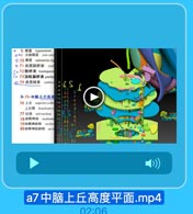 b 被盖 tegmentum
口mC 大脑底 crus cerc
0 70 黑质 substantia nig
b 71皮质脑桥束 cor
[·72额桥束 frontopont
(· 73頂枕顯桥束 parieu
Q 74皮质核束 cortico

444

IS

444444NNINNI

9-75-中脑上丘高度

AC

ro Looto

76 E.E superior colli
上丘臂 brachium o
77 红核 red nucleus
78动眼神经 oculomo
79动眼神经核 tucleu
80动眼神经副核 WGOG

SE LI

a7中脑上丘高度平面.mp4

02:0