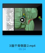 0 31 外側隐窝 lateral
● 32[菱形窝]正中沟
33[第四脑室]纹
34[養形窝]界沟
35 前庭区
vestibuln
新结节
acoustic
36 内側隆起 media
37 舌下神经三角 h
38 迷走神经三角
39 分隔索 funiculu
40 量后区 arca pos

YU co

41 月 obex
42 EBE locus cerul
43面神经丘 facial
47第四脑室脉络组约
48 第四脑室味络品。
45 第四脑室盖
tegr
46上髓帆 superior

3脑干背侧面2.mp4

05:24