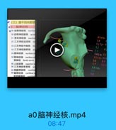 (三)脑干的内部结
01 脑神经核
040 动眼神经核 nucleu
50动眼神经副核 accc
51 滑车神经核 nucleus

4949A

57 三叉神经运动核

S1SIA 6

52三叉神经中脑核

S2

53三叉神经脑桥核
po

53

6

54展神经核 nucleus o

54544.65

56面神经核 nucleus of

SSSSA 66

面神经 facial nerve

S6

67

58上秘漏核 superior ss

57

58三叉神经脊東核 SP

5858A
686

59 前庭神经核 vestibu
60 螨神经核
cochlear

50

前康腿抽经
weestihn

a0脑神经核.mp4

08:47