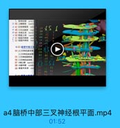 面神经
gcnu.e
O 46 上橄模構 superin
· 47 红核脊儲束 rubr
O 48 三叉丘脑束 trige

E

WW4

O 49 外側丘系 lateral

SA

· 50 前庭上核 superi

FC

F 51 前底内侧核 med
1 52 前底外侧核
laten

25

F

as

Lac

6-53-脑桥中部三叉
54[三叉神经]感觉根
[三叉神经]运动根
55 三叉神经脑桥核

02

0E

56 三叉神经运动核

12

57 小脑上脚 superior G

SE

58 小锅中脚 middle

$2
EE

59 被盖中央束 ceml

E2
22

2E
TE

a4脑桥中部三叉神经根平面.mp4
01:52