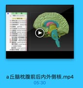 ●三、间
71 间脑(dieneephalnn)
(一)育侧丘脑
72 背例丘脑(dareal thalanui-
73 丘精间黏合(Taderthalarit
74.丘脑前结节 anterior thal
7丘脑枕 pulvinar
78下丘脑沟(hypotlalamie
77 p l t ( internal medullary
78 前核群(anlerior maclear
70 内侧核群(medlial nuelear
80 外侧核群(laleral nuelrar
背外侧核,后外侧核和丘
81 背外側核 lateral dorsali
82 后外侧核 Iateral posterior
B3 海前核(ventral anterior 110
腹外侧核(ventral lateral
(又称腹中问核)
魔后核(ventral pasteriur
85腹后外侧格(ventral postr

a丘脑枕腹前后内外侧核.mp4
05:30