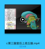 U BJ NH(veatral anlerior mi
◎ 腹外侧核(ventral lateral m
(又称表中间核)
O 腹后核(ventral pasteriar m
S85班后外侧核(veutral poser
堕后内侧核(ventral posten
。 的内侧背核 mediodorsal m
◎B7 板内核群 intralaminar nu
◎ 中央中核(centromedian m
0 88 中线核 midline nuclei
0 89 丘脑网状核 thalamie ret
D 0 外體板 extemal medullar
● 91 第三脑室 third ventricle
(二)后丘脑
02 后丘豬(metathalamus)
93 内倒肆状体(meiial grniey
外側肆状体(Lateral genicu
(三)上丘脑
04 上丘脑(epithalamus)
95 丘脑髓纹(thalamie medull

c第三脑室后上底丘脑.mp4

03:44