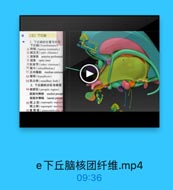 (五)下丘脑
1.下丘脑的位置与外形
下丘脑(hvpothalamus}

V0 GON

5 转板(lamina terminalis)
6.视交叉(mptir chiasna)
7 mwM anterior perforated
B 视東 optic tract
9灰结节(tuher cinereum)
10 漏斗(infundilalam)
11 正中隆起 median eminen
12 垂体(hypoplysis)
13乳头体(mamillary body)
2. 下丘脑的分区与核团
14 视前区(jeeopsie region)
视前内侧核 medial preopt
视前外侧核 latcral proopl
15 视上区(supraoptie segian)
视上橫(supranptie mueleus
16童旁核(parmeatricular

e下丘脑核团纤维.mp4

09:36