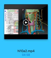 疑桂 nacleus ambigus
土述走神经
80 迷走神经(wapm sene)
#迷走神控背核 dursal nucleus of
([連走神經]食管品 csophageal ples
[:it rertja8& pulmonary plexen
8 请选神经营干(anterior vapal trn
迷免神经后干(peideriosr sagal in
[一)環部的分克
44 1. 01( superior laryngen!
85 2. 1fc3 ( cervical cardino bran
B6 3. JF i ( auricular branch]
ET 4. ll3t ( pharyngel branchds)
5. 請練支(meningeat.branehos
(二)胸民的分支
a 1. 服返神轻|recumreelt laryngoo
右喉返神经
左喉酒神经
00 喝下神经(inferior laryngral feree
心豆,气管支和食管호
91 2. 支气管支(bronchial branchon
和食带支(esophageal brarofia
(三)價和的分素

N10a2.mp4
04:58