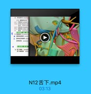 (2 和食管支(esophag
(三)腹部的分支
93 1.胃前支{anterior
94 2. 肝支(hepatic bra
HF&6 hepatie ples
05 3.胃后支[posterior
G 4.直腔克(celiac br
97 青支 renal branc
中一研神
9 副神经(acccwnry
●[副神经]颅根 cranial
●[財神经]脊髓機 spina
副神经核accessory

十二香下码
99 舌下神经 hypoglo
舌下神经核 nusclet

N12舌下.mp4

03:13