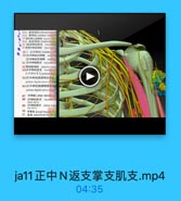 524.胸背神经[thoracodor
505. M11(axilary nervn):1
54 青外開上座神经 saperin302
566, ML 1i2( musculocuta
●五[嚴度神经]职克 minciilac
57前筒外侧度神经 SatenuLano
587.正中神经|medianpur
59[正中神续|到棉 medlel
[正中特经]号例根 latecal m
61[正中神经|肌支 munculas bo
62 骨间前神经 anierior inkene
63[正中棒经]调支ppcortma.bn
正中神丝零 L(palmat bpiu
65[正中神经]指掌侧总神长
palmar digital nerve ef sikl
66[正中神经]車掌藥团有神些
palmar digital merve af med
67 1912 (ulnar nerve) | C
68 [尺神经]肌支 miiciila
69 [RMRIVA palmar bran
mar serce
70 Fi doral branch of
71 i superficial branch

ja11正中N返支掌支肌支.mp4

04:35