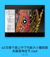 交通支(mmmmanirating l
计7白交通호(white cianin

- 东交送支(gey nmamin

● 1 交感神经节前纤维 3种
交感神经节后纤维3种去
2. 交感神提分布
(1) 盖部
麵中神经节(midhdle ecr
插下神经节(infrrint orni
星状神经节(aellalr pong
也称颈胸神经节[eervimnd
請部交感千神經节发出的
2麵内动酥丛(leternal eans
28種外动縣品(estemal cane
22號骨下动綠丛(sbelavi
30 桂动脉丛(vertrhrall plenat
31 帽品(pharyraal plesus)
32 號上心神经 wuperior.cerv

a2交感干颈上中下内脏大小腹腔肠
系膜肾神经节.mp4
13:35