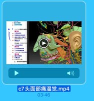 19 腹后外划技
20 轻鮮中央锅射
f
(二)头面郁的痛温文
第1级
22 三叉丼经节
23 舌國拘经上神经节
24 迷走林经上丼经节

25

新大门路 prader pelrco
耳后南福 poelcrior aari
三夏林经管束
第2级
27 三义件经脊束核
28
三叉中经脂骄核
20
三义丘系(又称三叉上
第3级
30-限后内侧核
31 內囊后技
32 中央后日下部
三、视觉传导通路和

c7头面部痛温觉.mp4

03:46