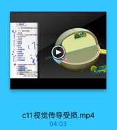 3 内囊后限
注:中央机鲜下售
三、视觉传尋透路不檬孔对光系
g
【一)經愛传身通商
三双產型素 欢種加食为第1强神片
第1
14克感堂雄细前
34 推神经
女捷交業

7

第35
种外图肆找体
4税正出质
上丘味 土三

碳量传导通路的不阿部位受物

x0ox93

4T羅交其中交足:维品長
M,图模交美外期團的不党其纤维授
4一侧瓶東及益后的機柔特特路
(视報射,现区康請]受樓

c11视觉传导受损.mp4

04:03