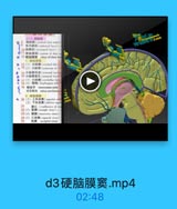 (一)硬糖購

牛3

D8
硬脑膜(eerelaral slura maler)
骨内讀层(emlodral lager)-

YU GONG

110 請請层(meningeal layet)
411 硬精膜隔(=rplam ef dura m
12 HMAAR DE simus of dura ma
1,硬脑讀業
●13(1) 大脑連(cenbeal Lals
· 14(2)小脑幕(senbsrium off
15 小篇幕切達(tenlirial inri
16 小脑幕架孔(sentorial hiatis
17 (3) 4lkl(cerbellar fal
-18 (4) EiM(diapheagma sell
19 粒结节 tuberculam sella
交叉前沟 sulcus prochiasenat

3

2. 硬装膜潤
20(1) 上矢状离(soperioe slp
(2)下矢状离(inferiar sagiti
21
22 (3) I(otmaight ins)
23 (4) l(transene sins)-
24 (5) Z*( igmol sinu)-
25

tt# occipital sinus

d3硬脑膜窦.mp4

02:48