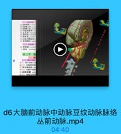 2o TrWlmerigr pe1
上火北实

Tn0.A:333

)下矢代第一歡號

M.ogr383

4龙2지が

1 31

(二)脑味网膜
◎ 29 信蛛网膜(cerebbral
30蛛网膜小業(araehrir
31 蛛网膜下池(sabanc
32小脑延髓池(cen
33 交叉池(chiasmat

1 27c

34 脚间池(interped
35 脑桥池(pontine·
36 大脑大静脉池(c

21 31

37 蛛网膜粒(arachn
(三)软脑膜

33

38 軟脑膜(cerebral
5 終池
terminal

d5蛛网膜延髓池脑桥大脑大静脉
池.mp4

04:40